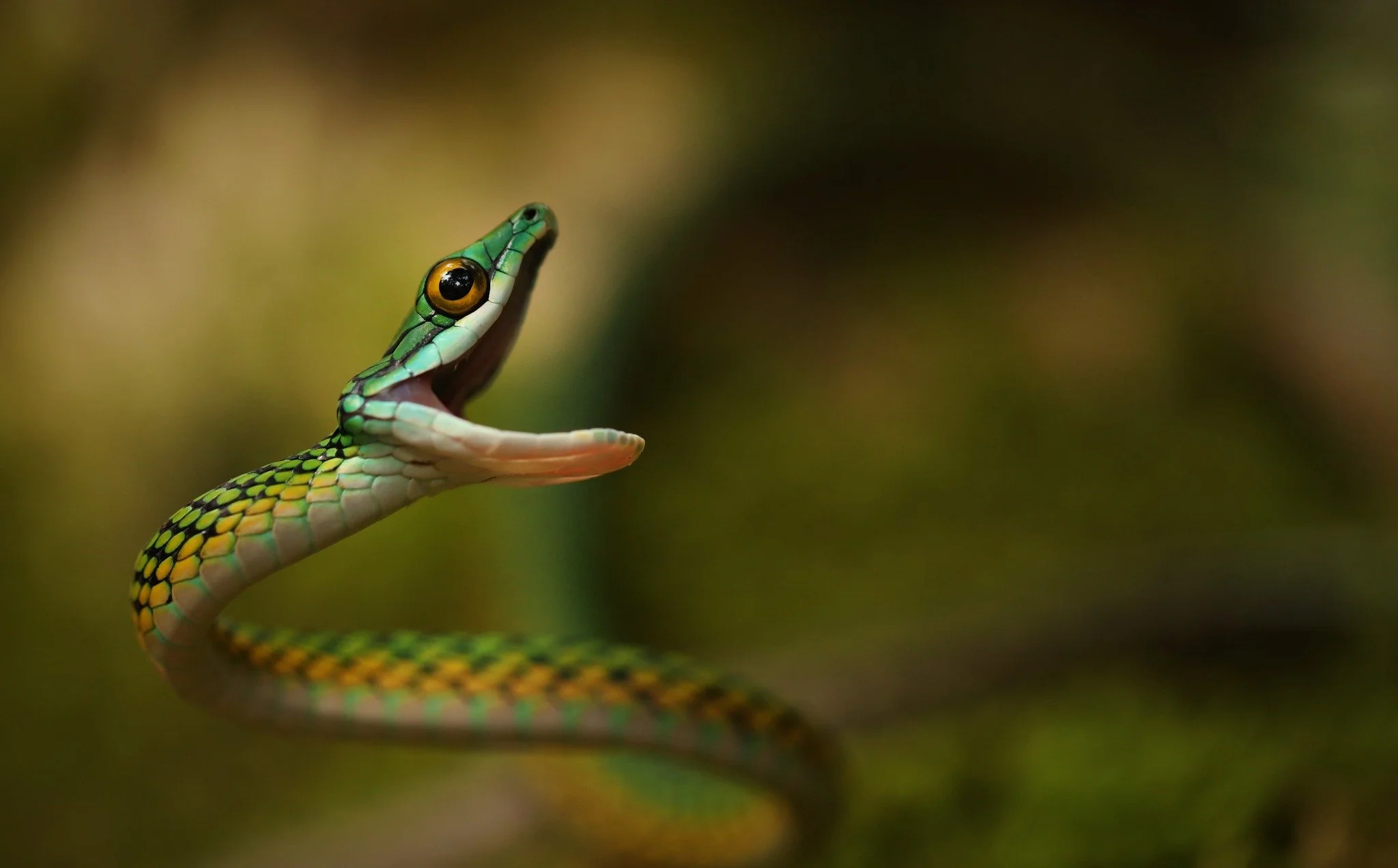 Happy Saturday!

Take some much needed rest this weekend. Maybe go on a hike and look for some cute critters! #saturday #weekend