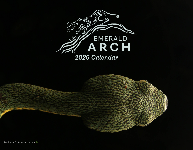 2026 Wall Calendar