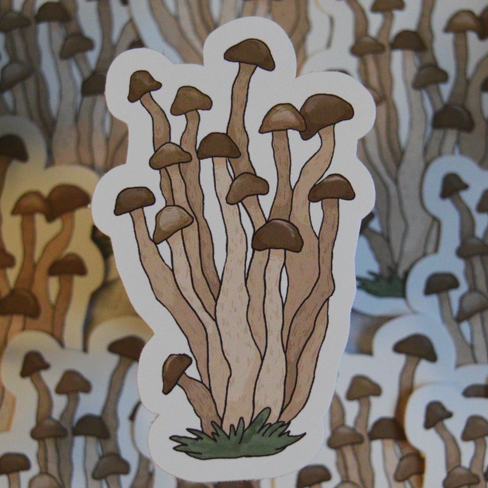 mushroom+bundle.jpg