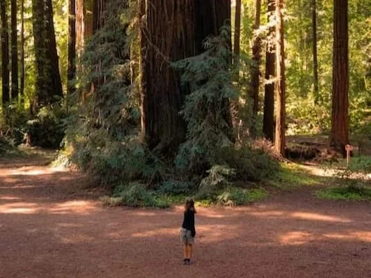 When Disappointment Lingers: Why It Can Feel Bigger Than the Moment