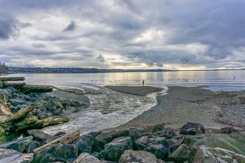 A person walking along the coast alone