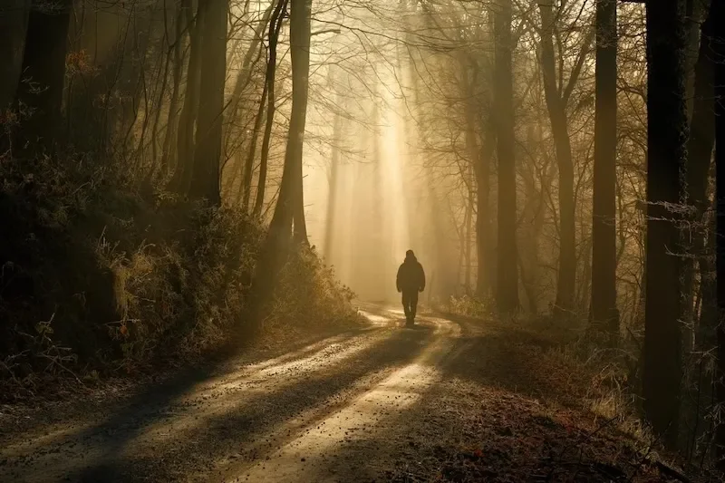 a person walking on a forest path alone