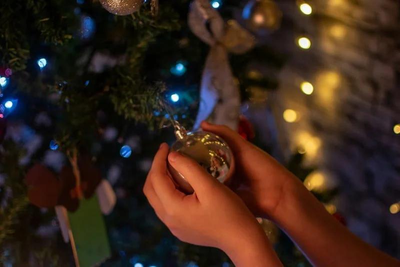 ornament on tree