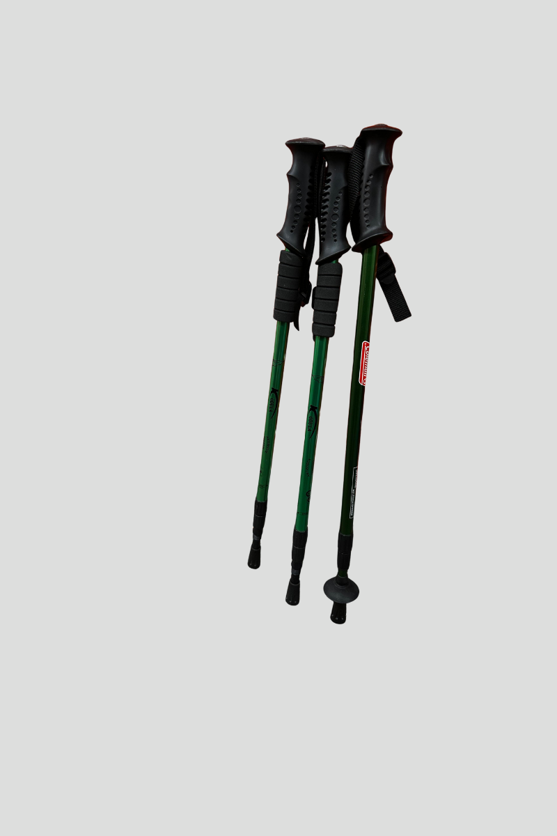 Three green trekking poles with black handles and wrist straps leaning against an orange closed rolling shutter door on a multicolored carpeted floor.