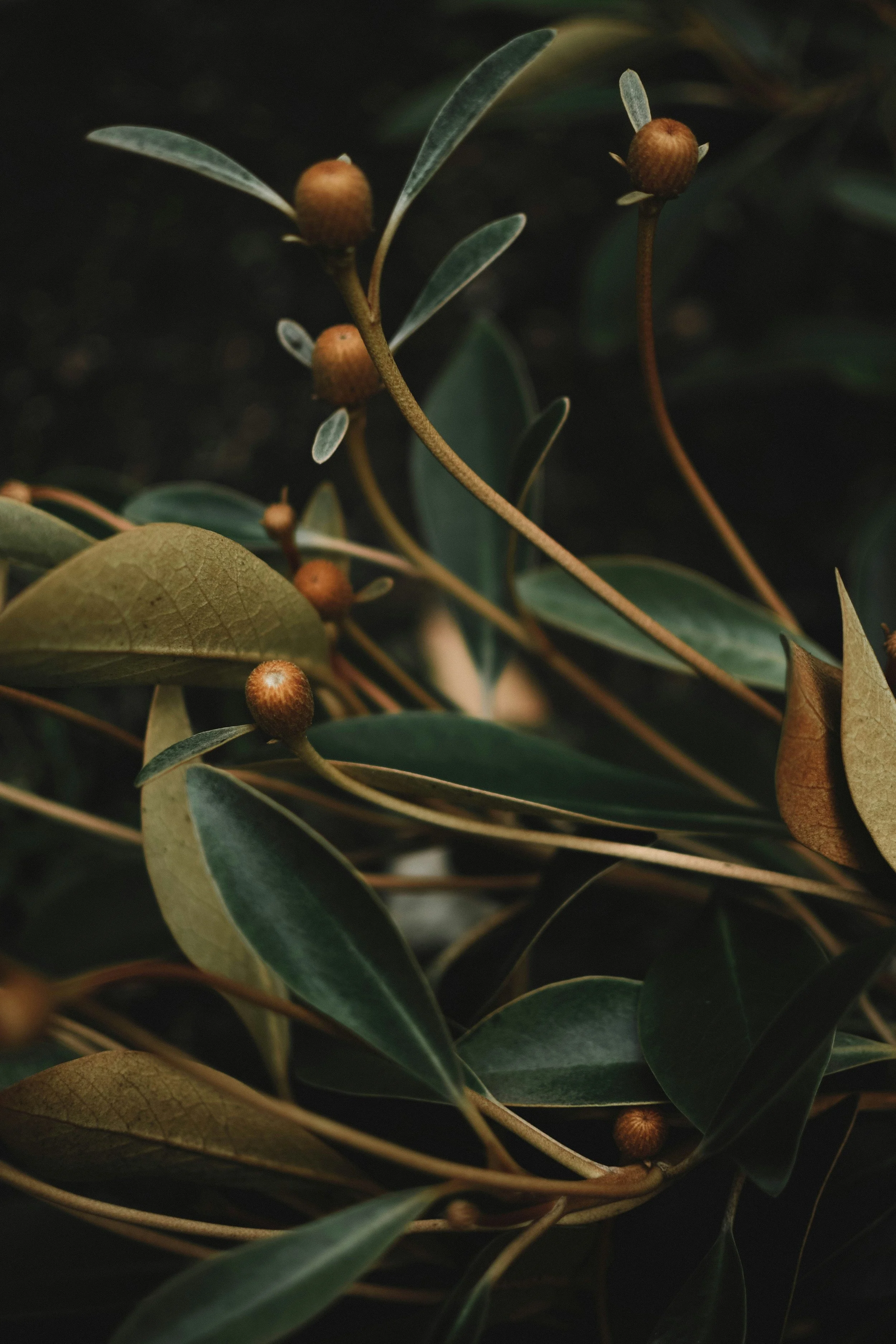 content-pixie-aRqaK5JIiNc-unsplash.jpg