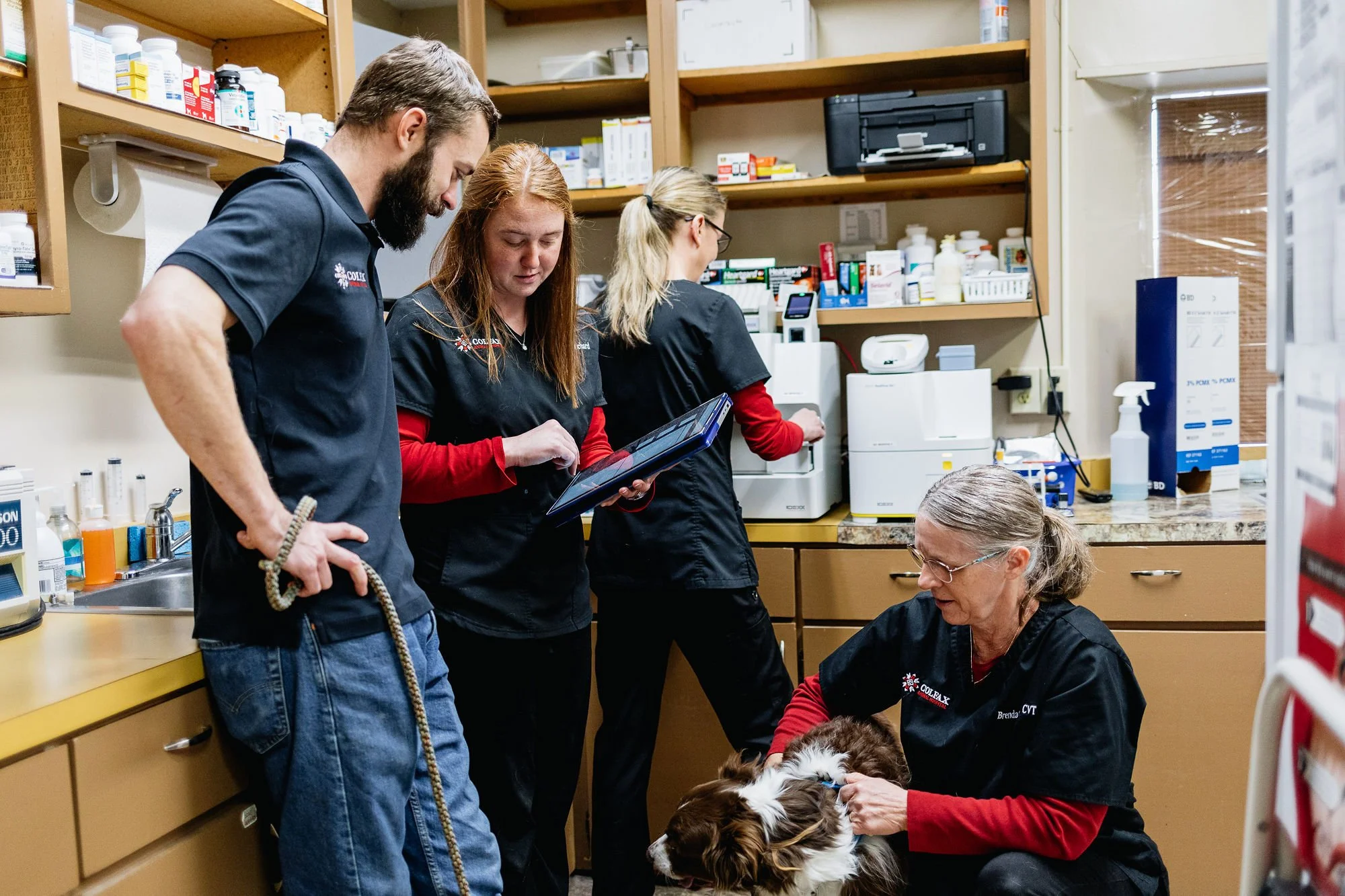 Veterinary team examining a dog in a clinic, with three staff members observing and taking notes.