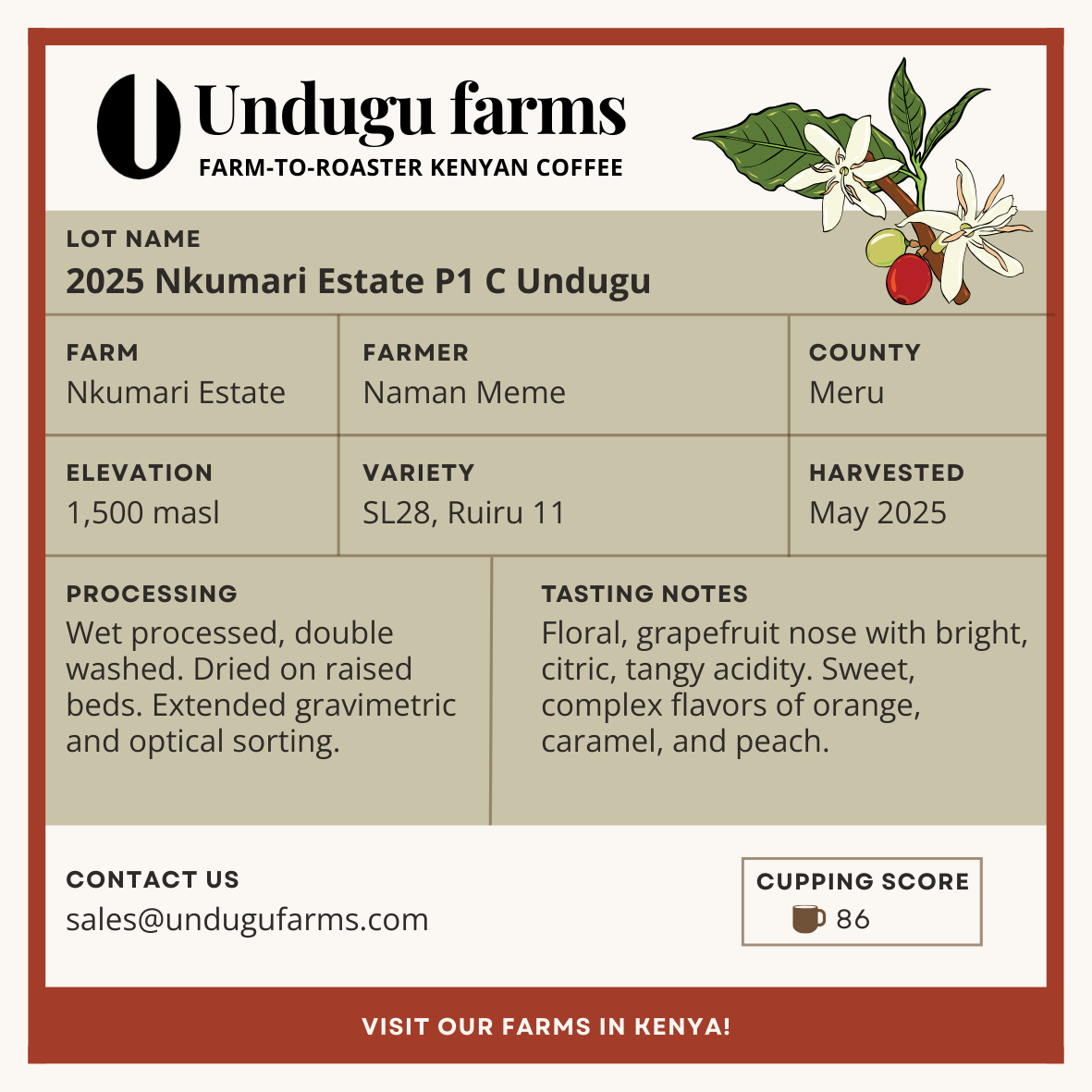 2025 Nkumari Estate P1 C Undugu