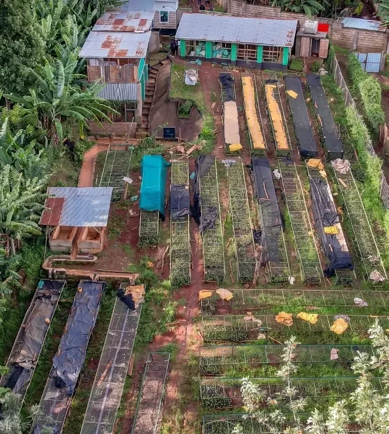 Mukarimu Estate.webp