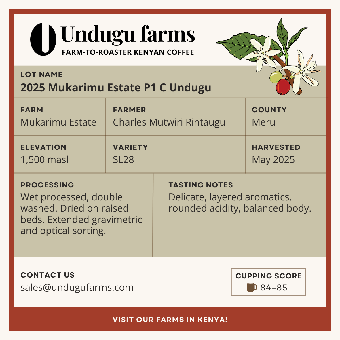 2025 Mukarimu Estate P1 C Undugu