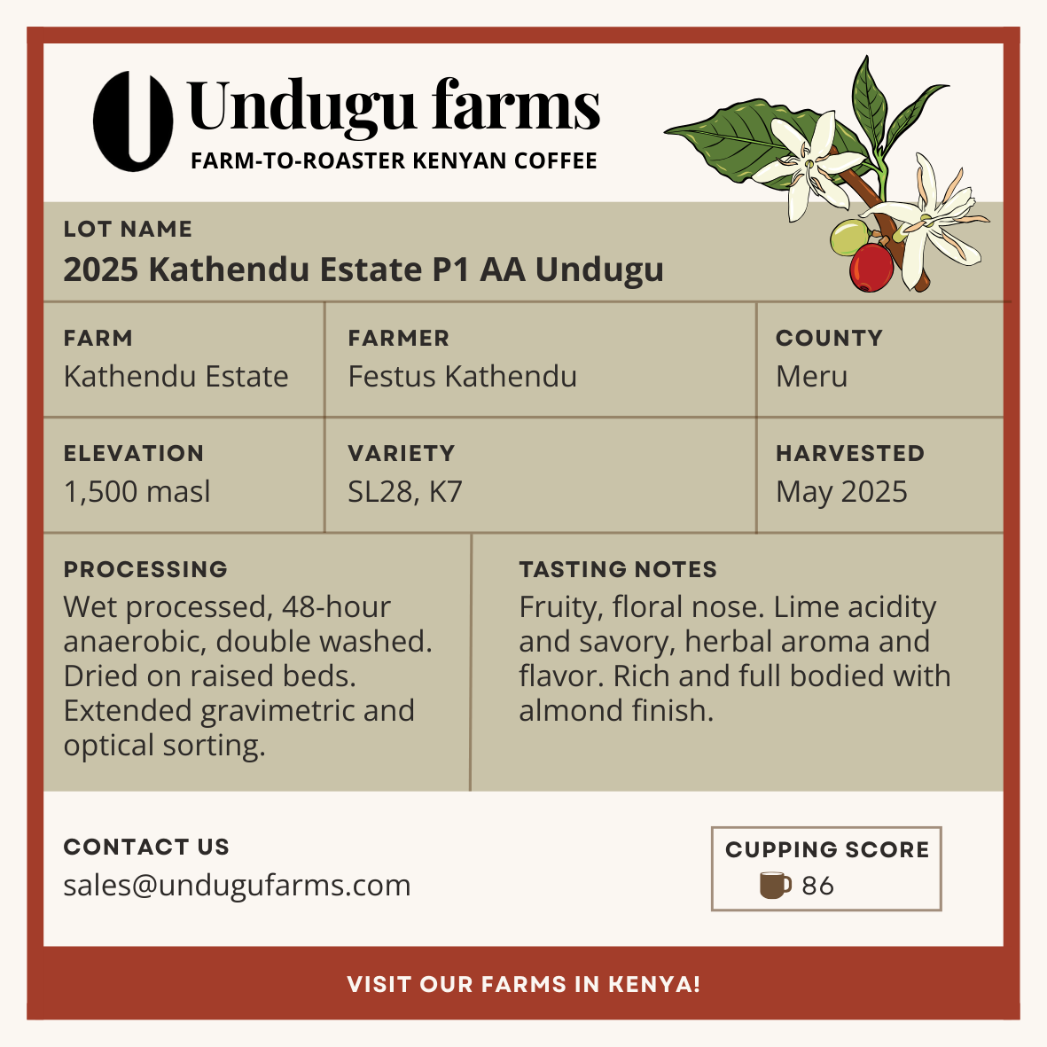 2025 Kathendu Estate P1 AA Undugu