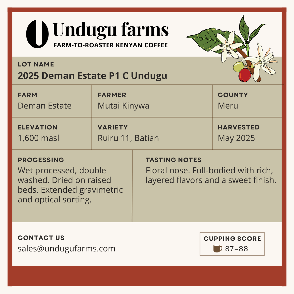 2025 Deman Estate P1 C Undugu
