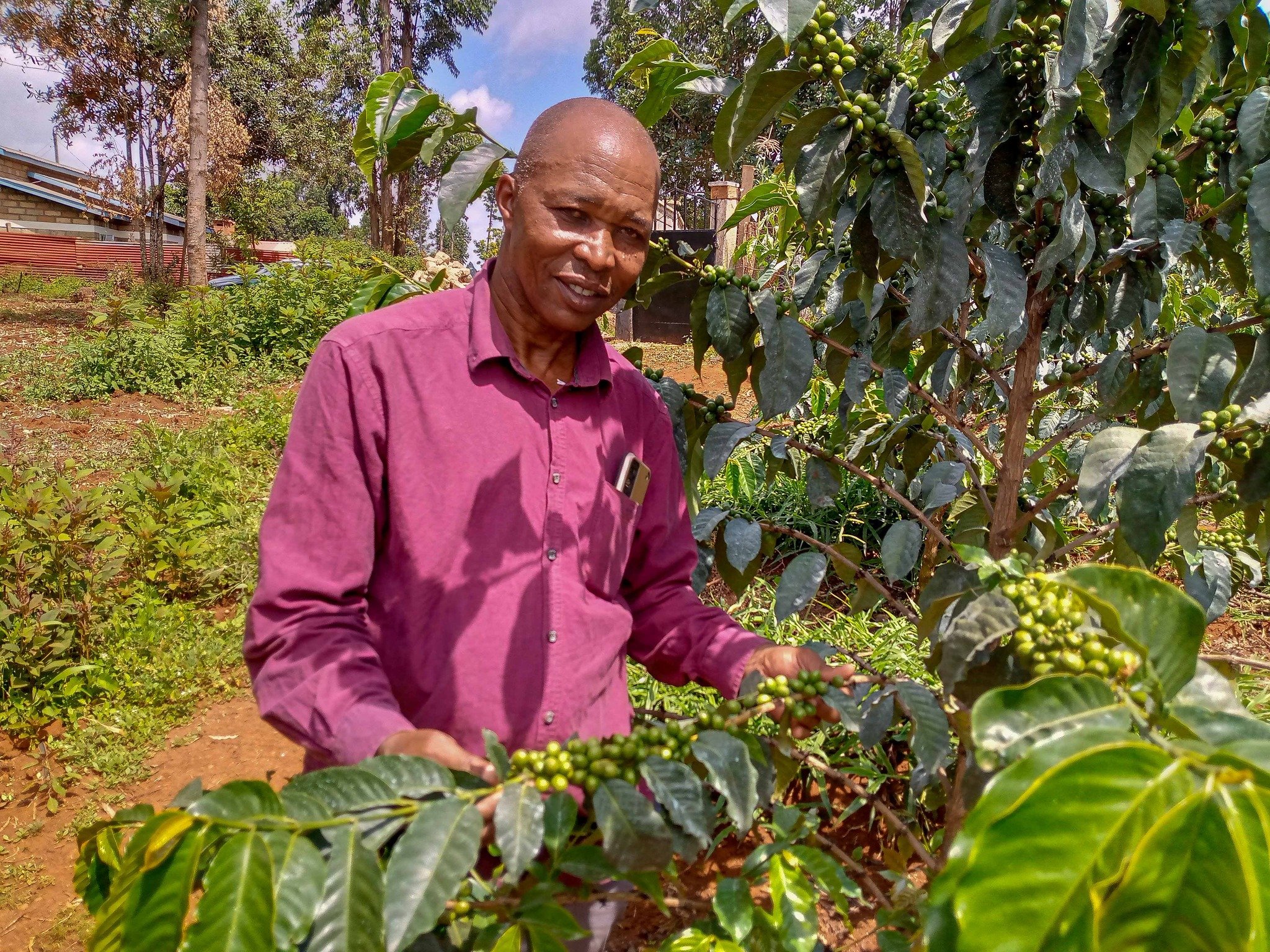 Mukarimu at his estate.