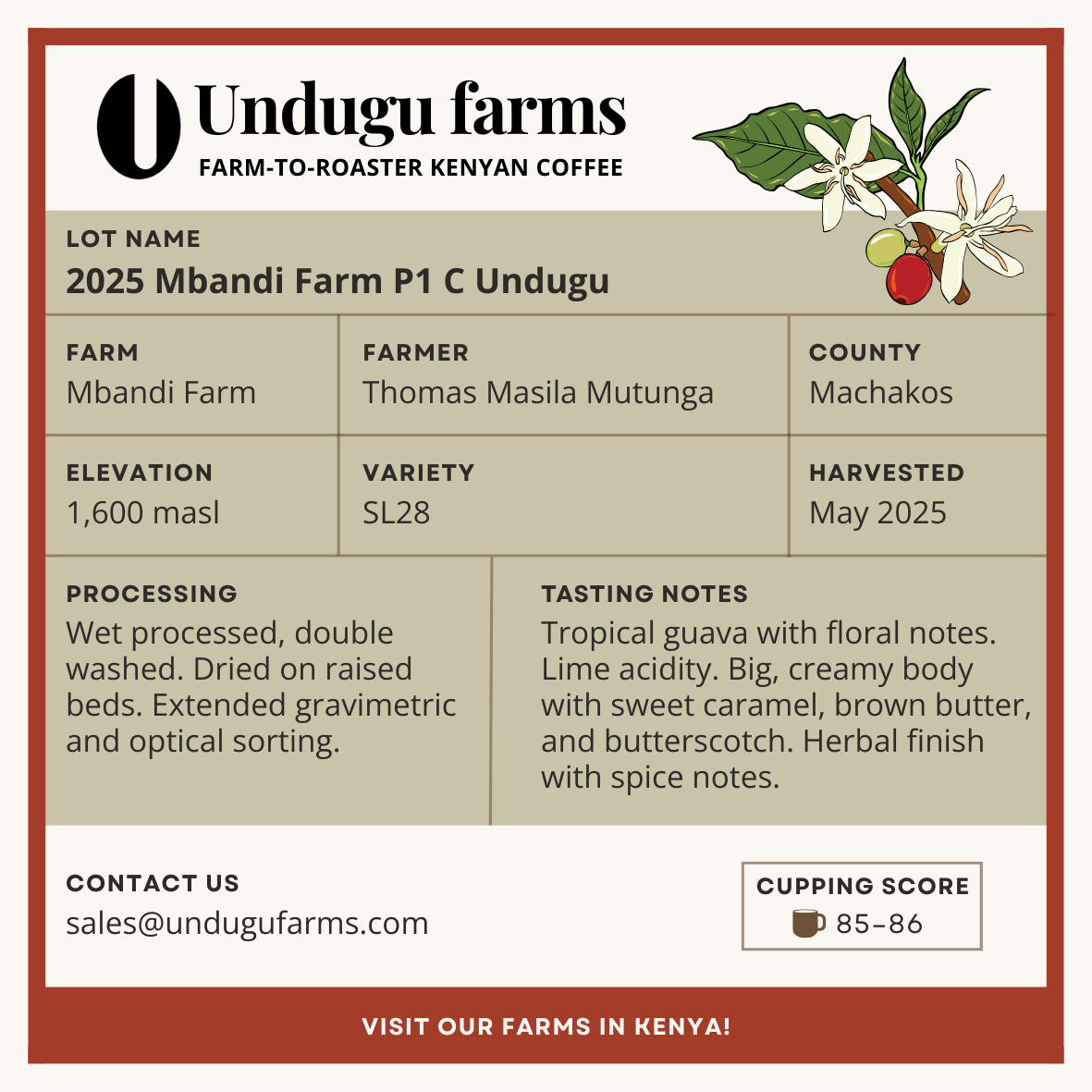 2025 Mbandi Farm P1 C Undugu