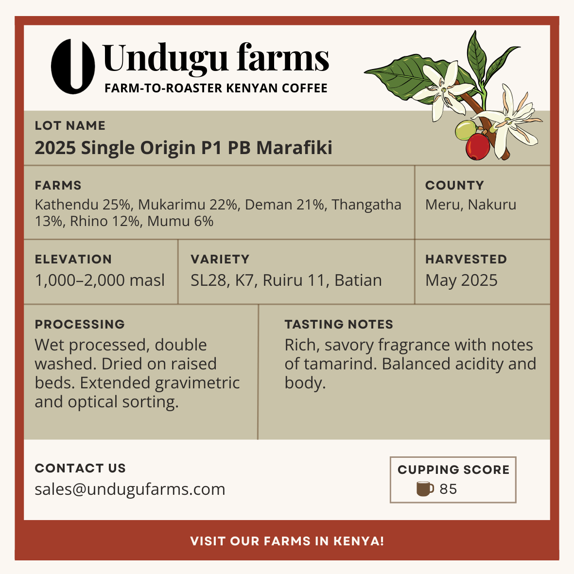 2025 Single Origin P1 PB Marafiki