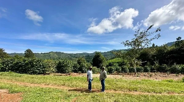 Nkumari Estate - Naman Meme.webp