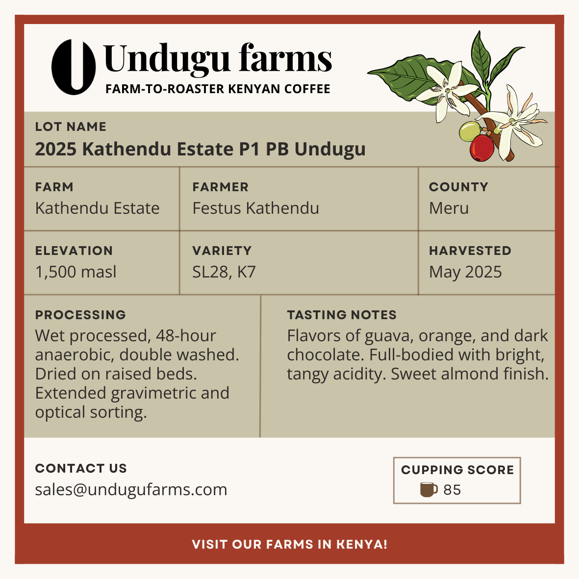 2025 Kathendu Estate P1 PB Undugu