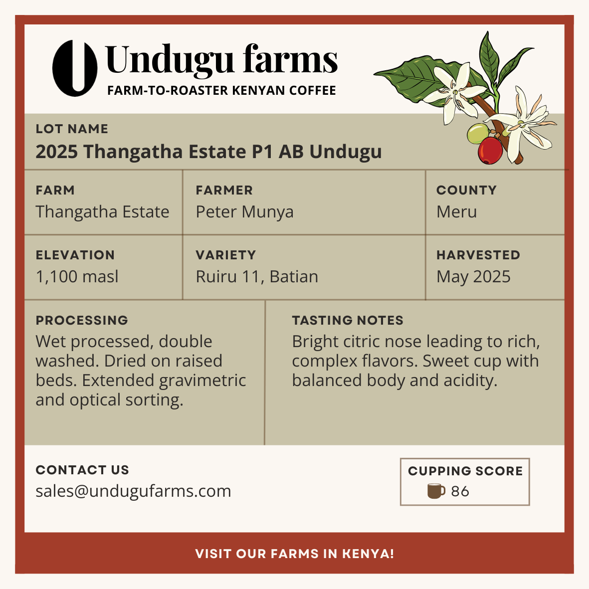 2025 Thangatha Estate P1 AB Undugu