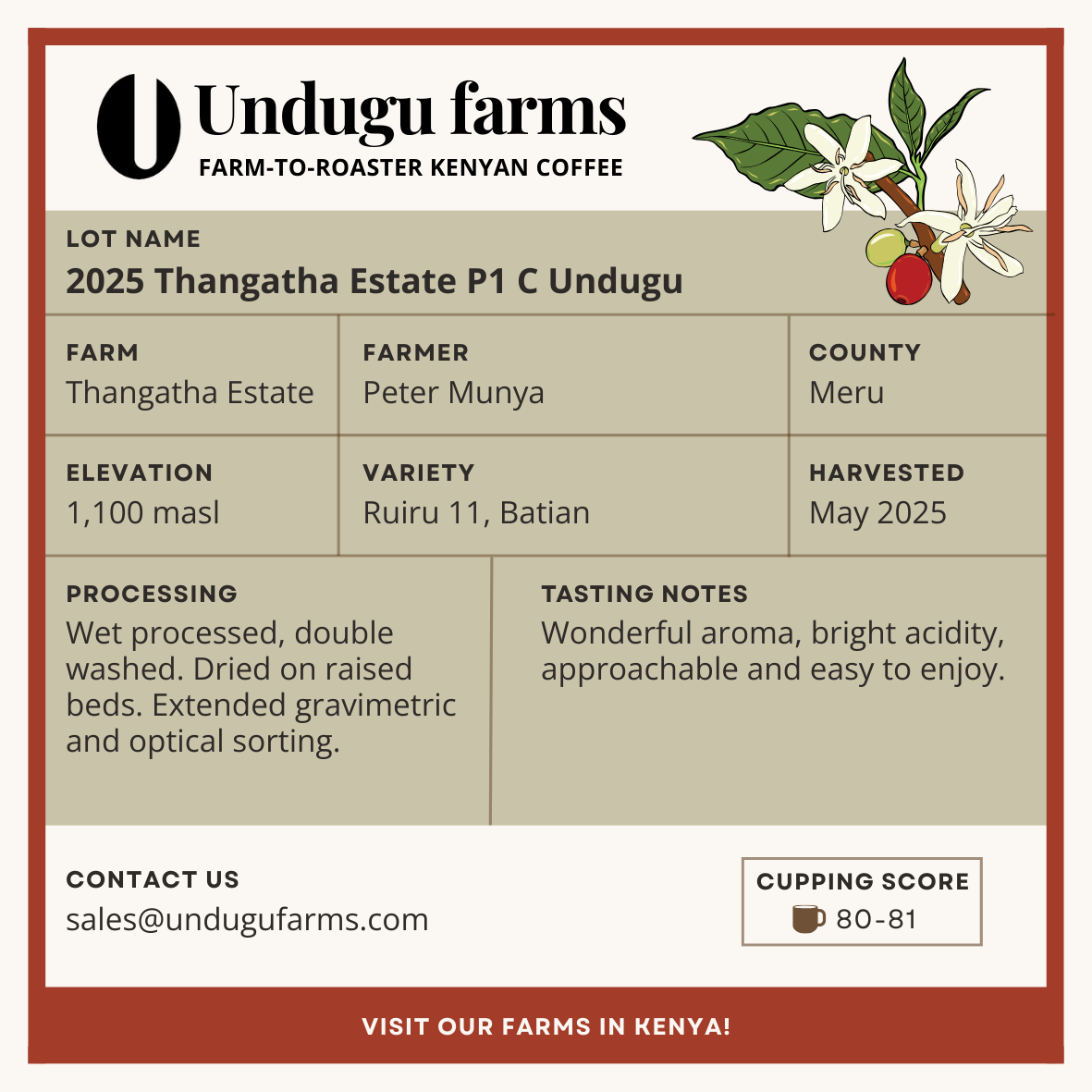 2025 Thangatha Estate P1 C Undugu