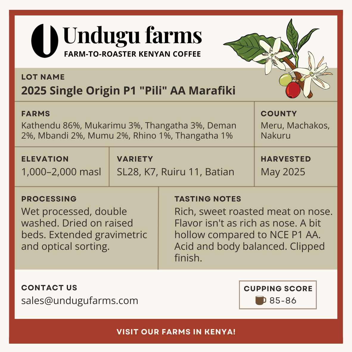 2025 Single Origin P1 "Pili" AA Marafiki
