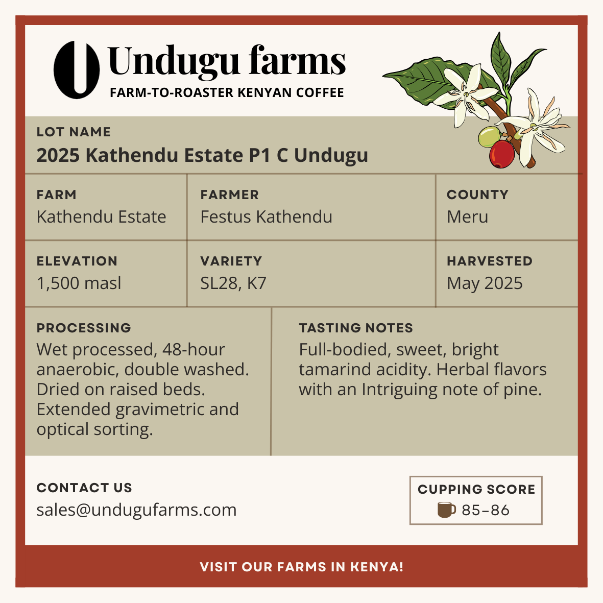 2025 Kathendu Estate P1 C Undugu