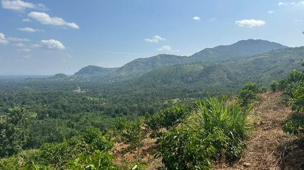Thangatha Estate.jpg