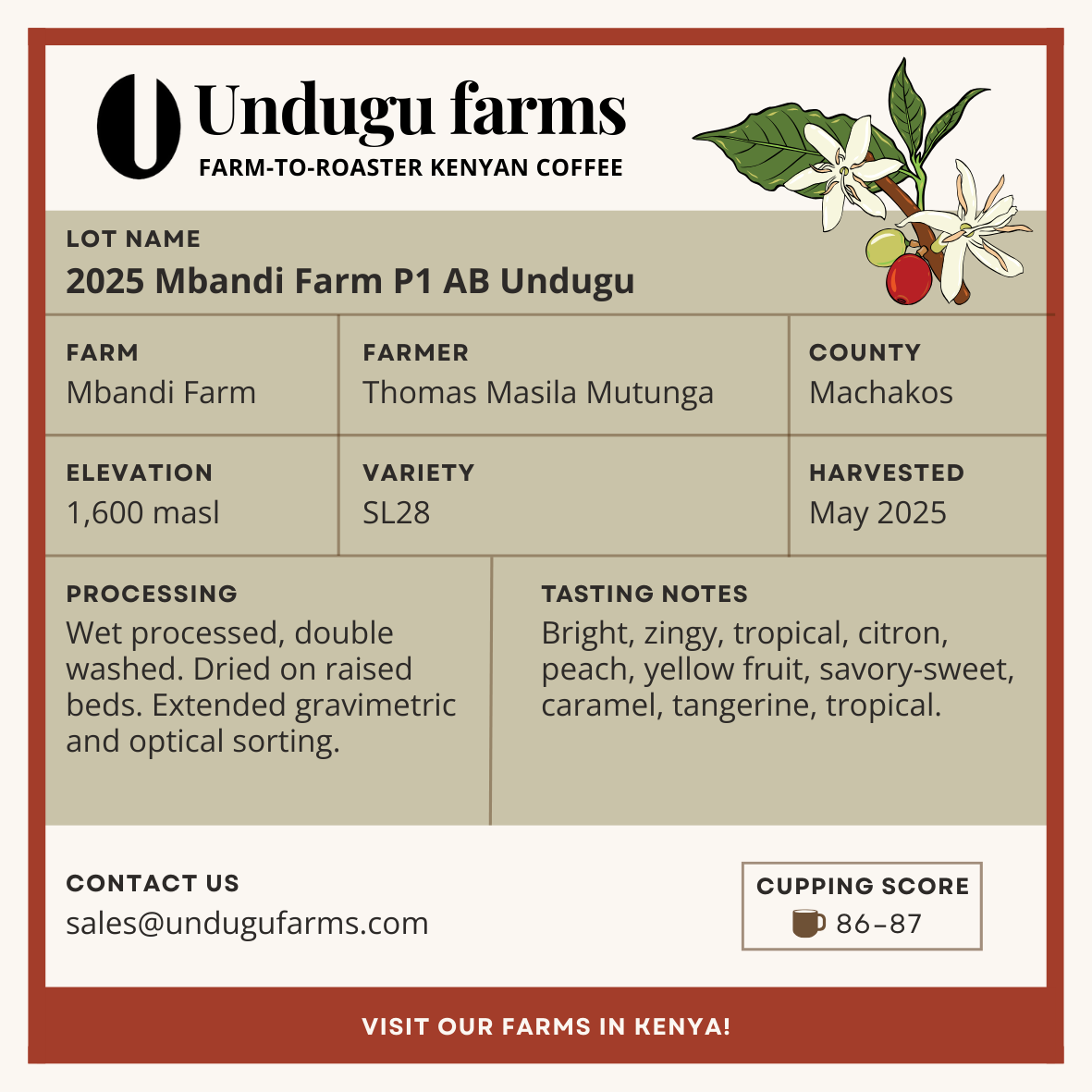 2025 Mbandi Farm P1 AB Undugu