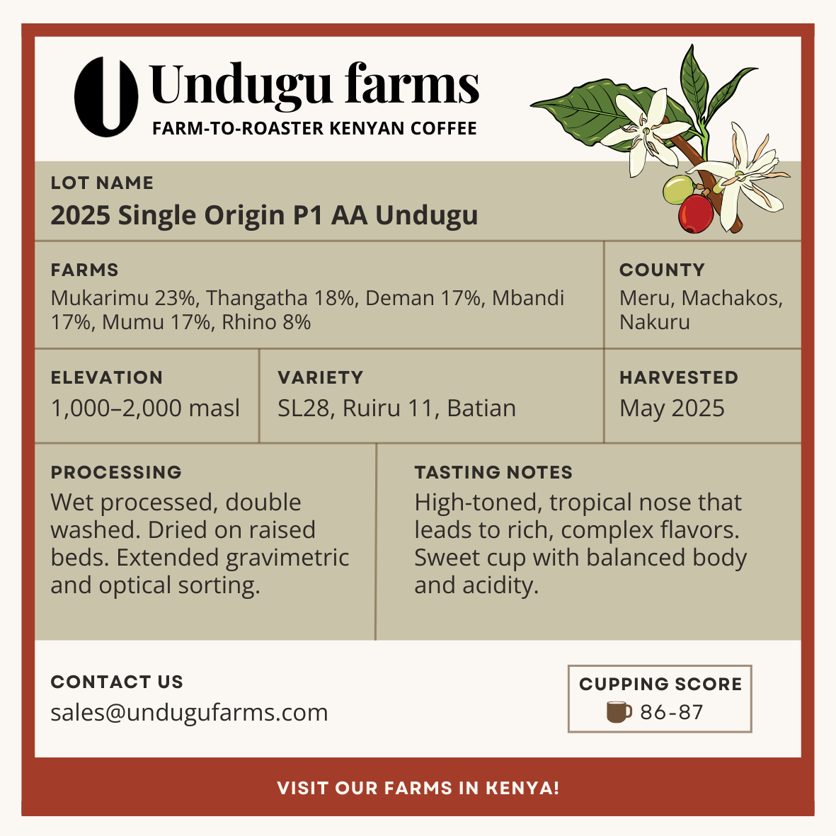 2025 Single Origin P1 AA Undugu