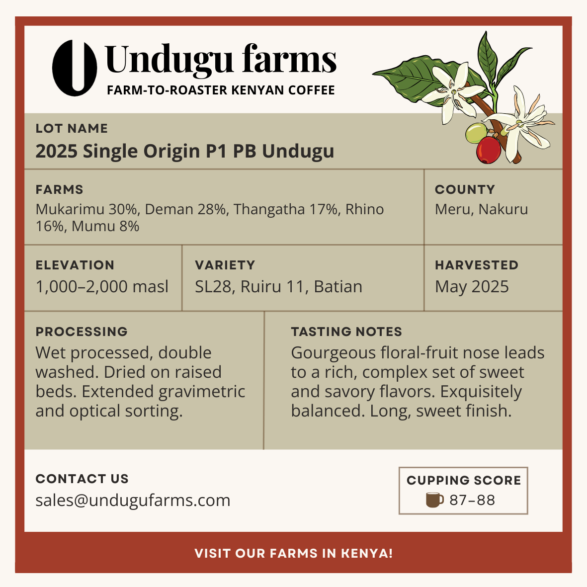 2025 Single Origin P1 PB Undugu
