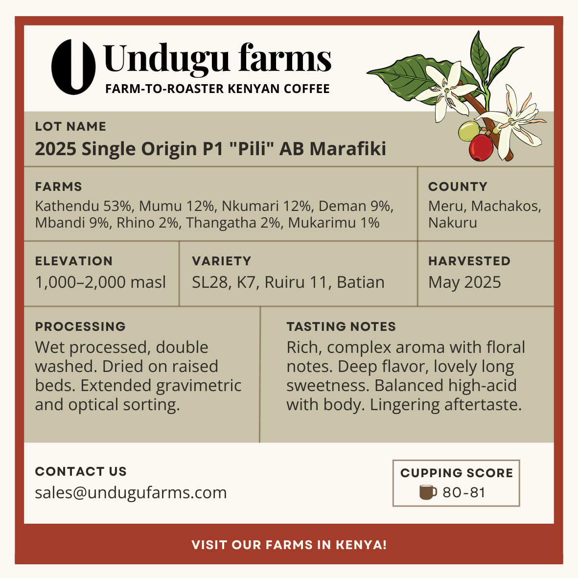 2025 Single Origin P1 "Pili" AB Marafiki