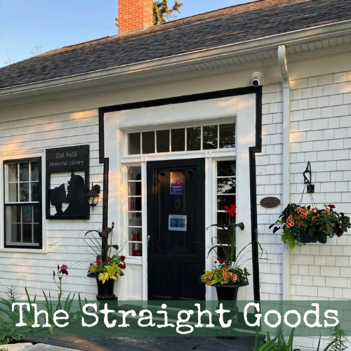 The Straight Goods on the ZVL:</span>