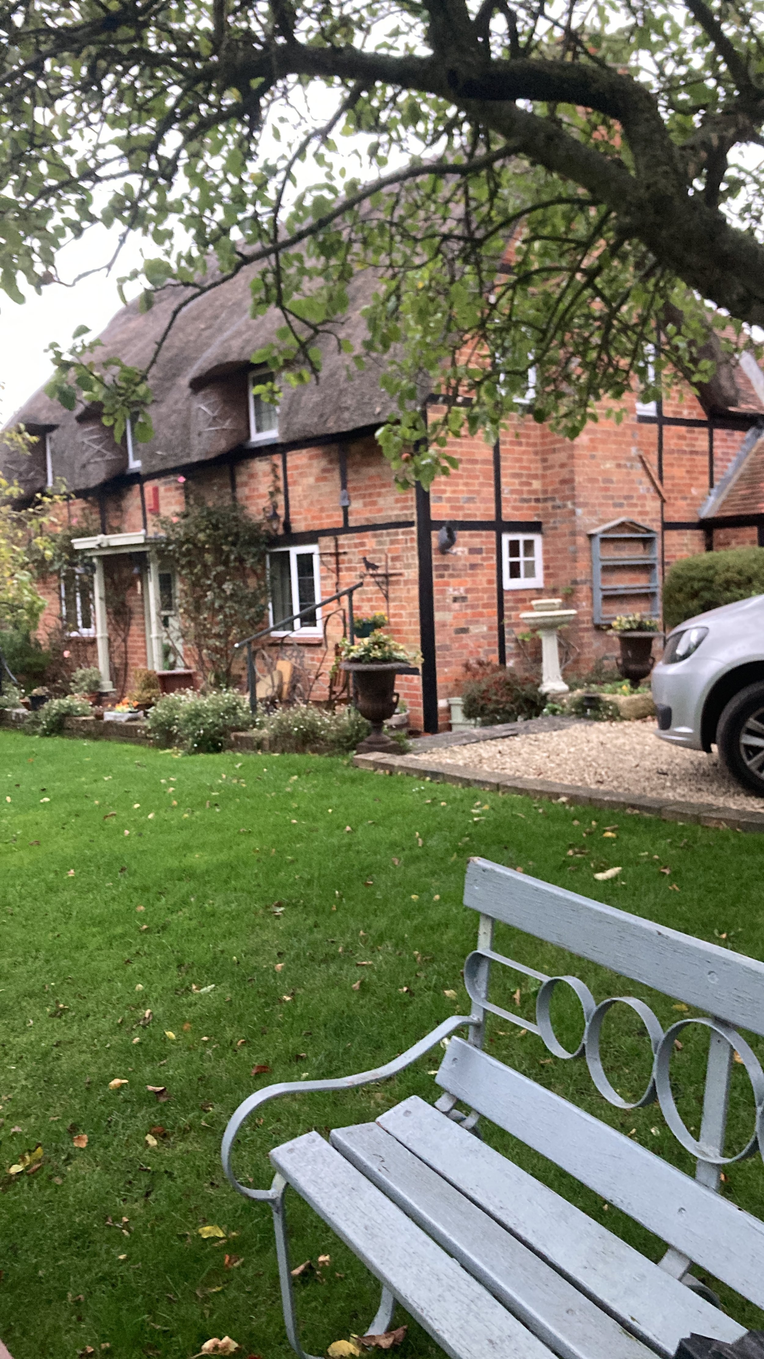 Lush grass garden mowed. Garden maintained by Noorlander gardeners and garden maintenance, based in North Cornwall, area including Padstow, Rock, Polzeath and Wadebridge.