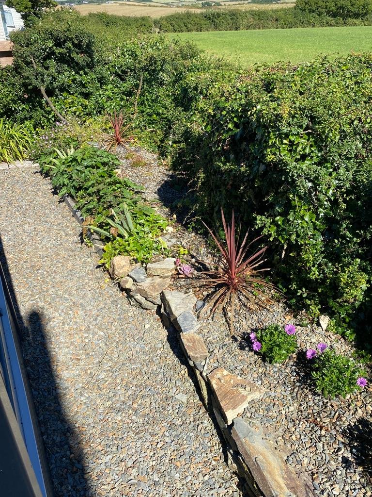 Outdoor garden scene with gravel path and stone edging. Garden maintained by Noorlander gardeners and garden maintenance, based in North Cornwall, area including Padstow, Rock, Polzeath and Wadebridge.