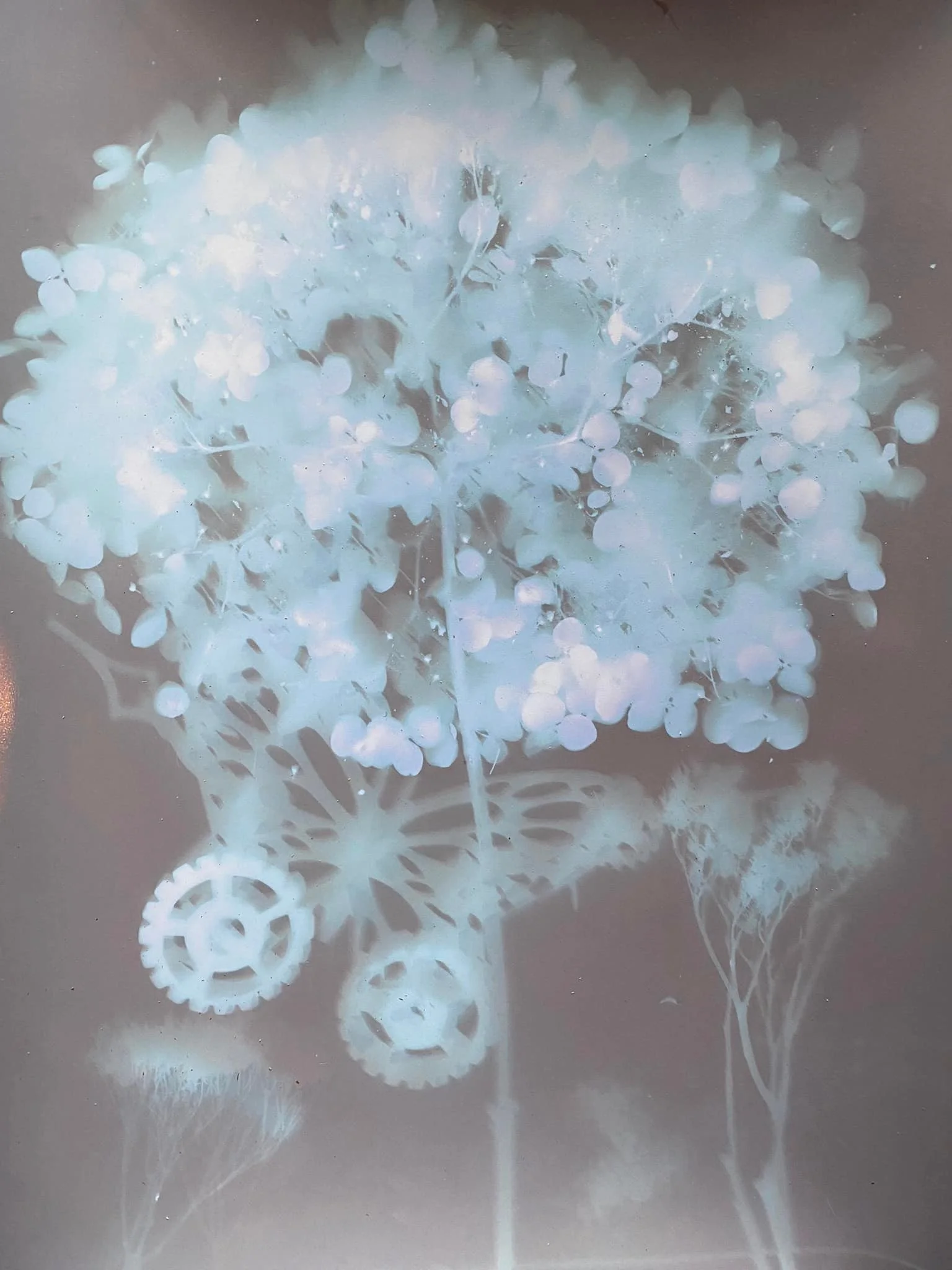 Lumen Photo of Flower and Gearfly Blue