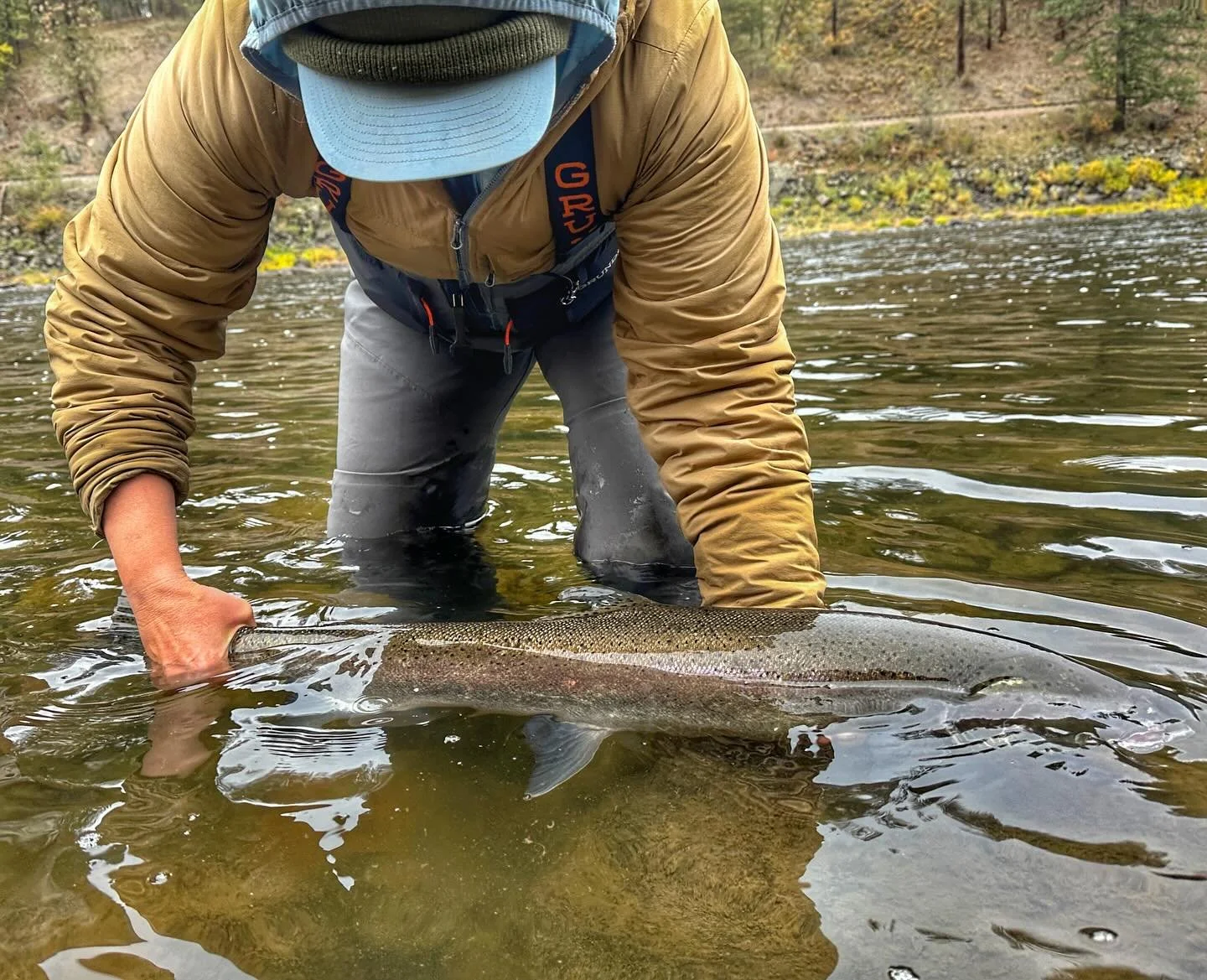 but if you can&rsquo;t be good, then just be better at it&hellip;
.
.
.
.
#cancelled! #taylorswift #vacationvibes #guidesdayoff #catchandrelease #flyfishing #tugisthedrug #lifebehindthesticks #thisiswhy #alwaysinseason #flyfishingnation #outdoorwomen