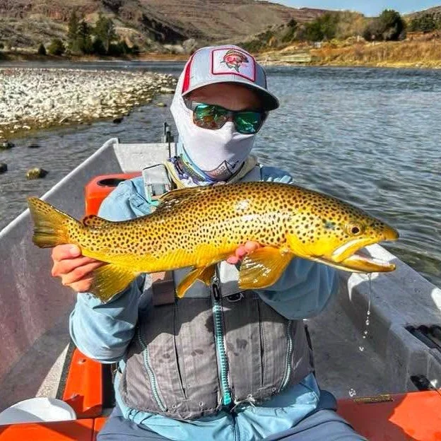 vamo a tirarno un selfie, say &ldquo;cheese&rdquo;
que sonr&iacute;an las que ya se olvidaron de m&iacute;&hellip;
.
.
.
.
#tit&iacute;mepregunt&oacute; #badbunny #greenriver #catchandrelease #queenofthegreen @scientificanglers @orvisflyfishing @grun