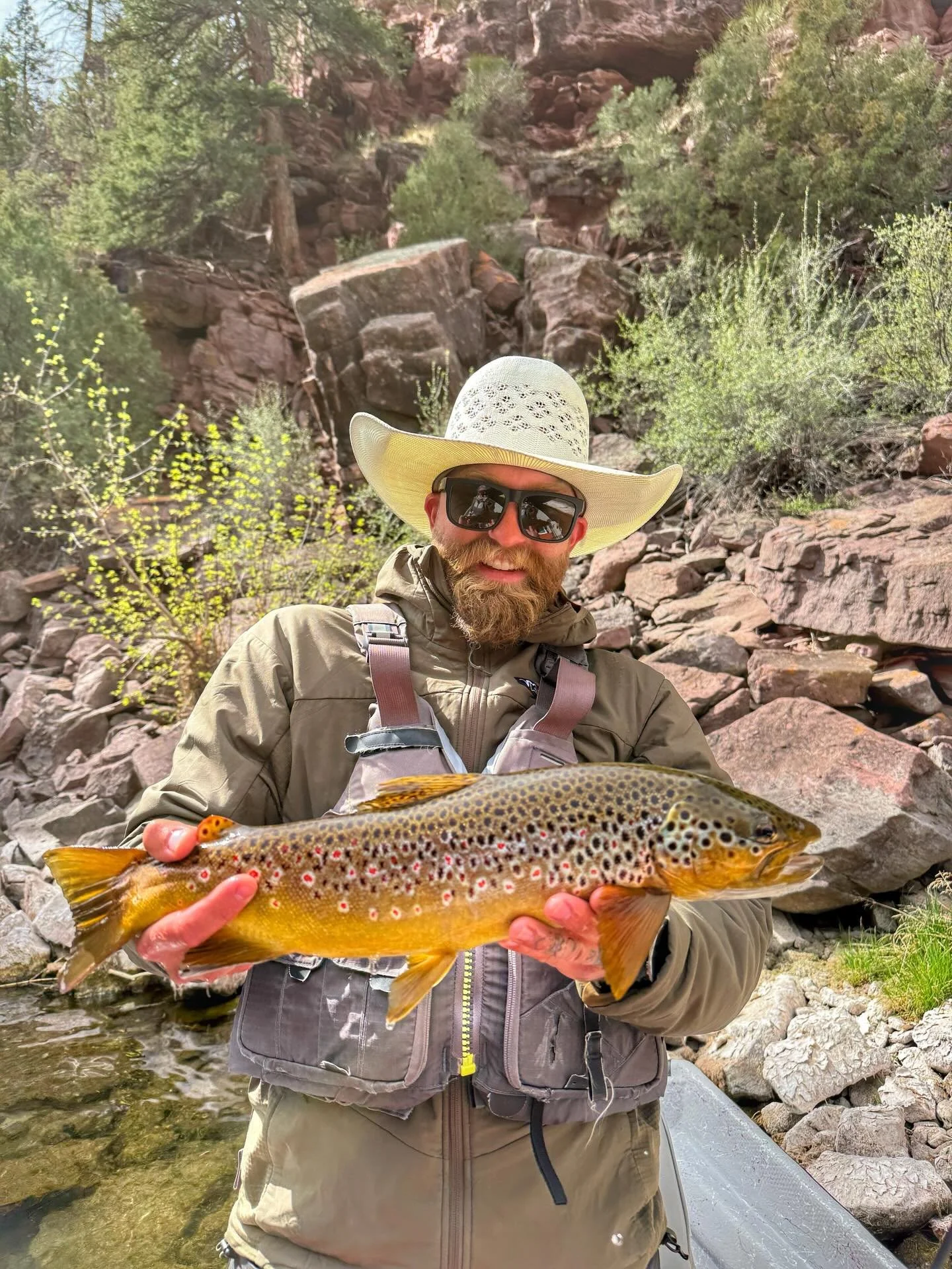 wind was whistlin&rsquo; like its rain&hellip;
.
.
.
.
#heavensent #steeldrivers #greenriver #catchandrelease #queenofthegreen @scientificanglers @orvisflyfishing @grundens