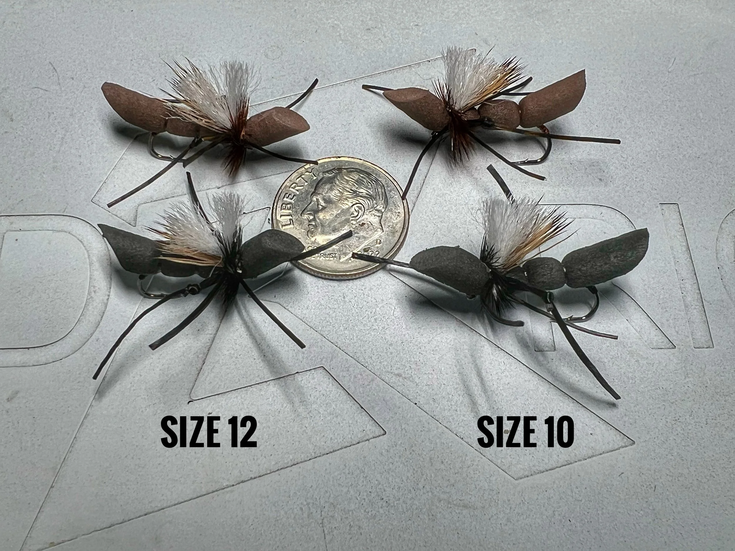 Green River Crick-ant