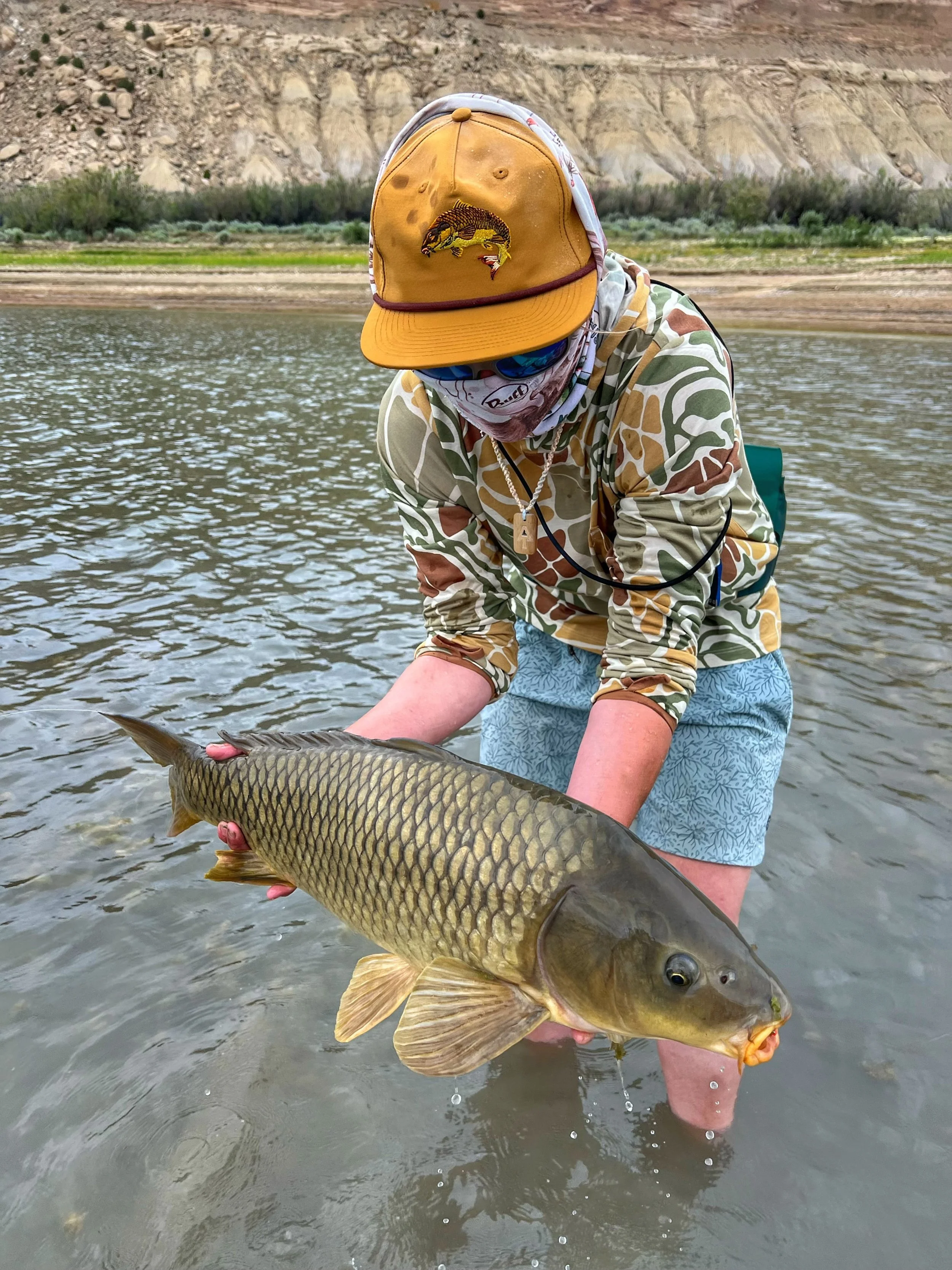 carp.jpg