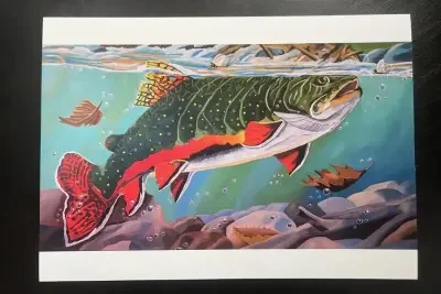 Brook Trout Artwork Prints