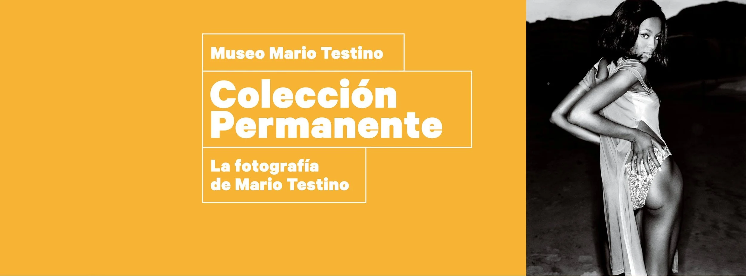 colecciónpermannte.jpg
