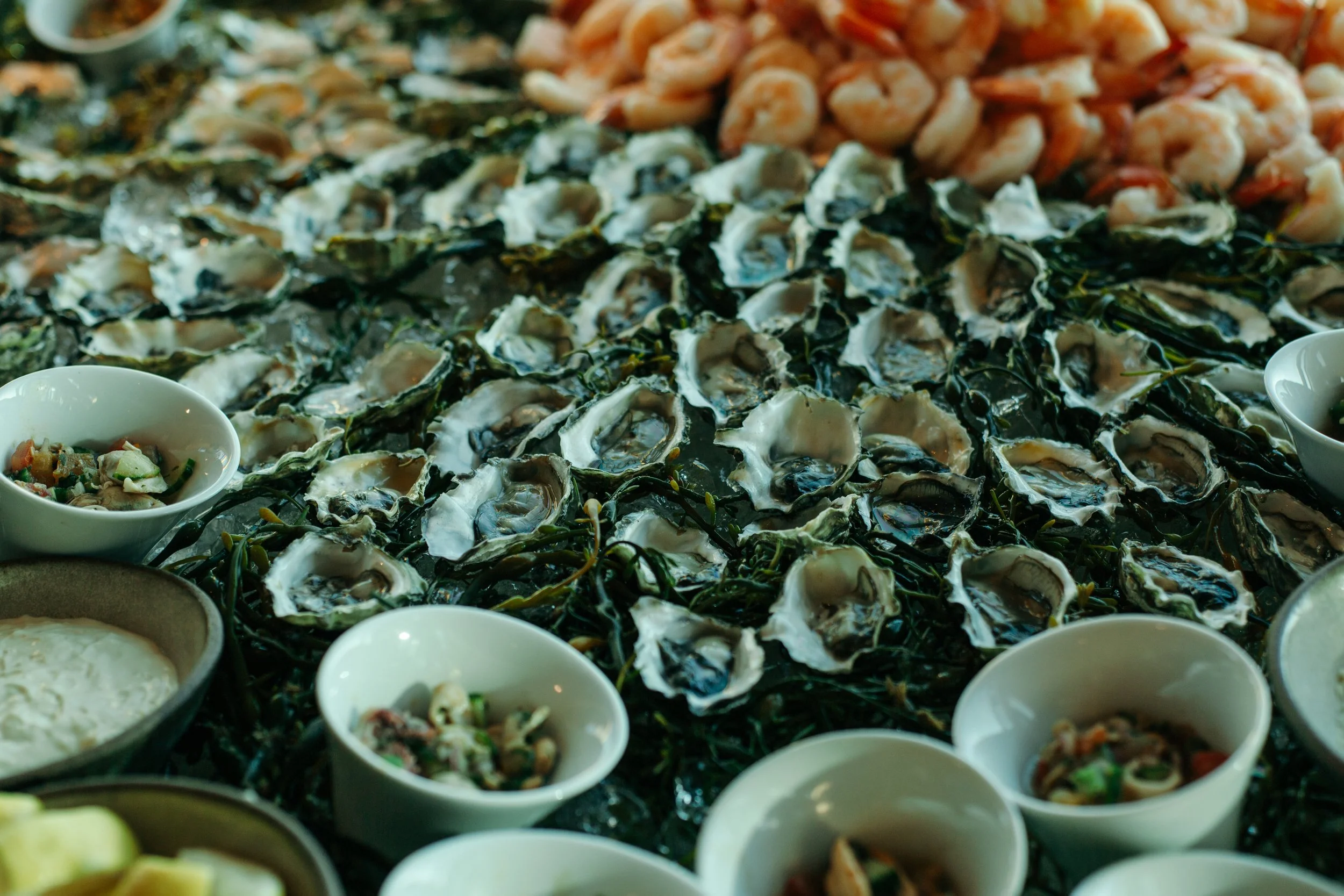 Greenoaks - BT24-55.jpg