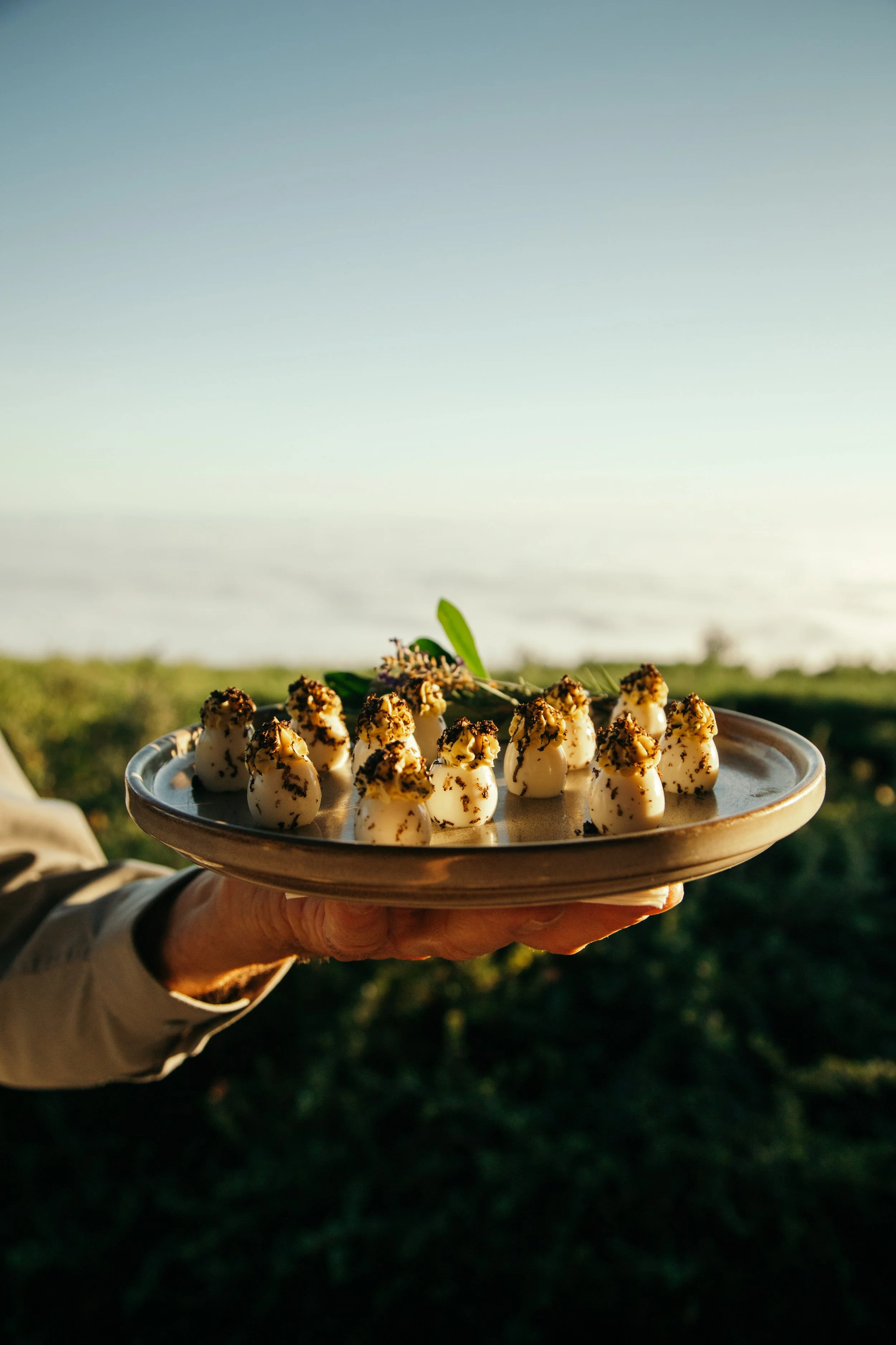 Greenoaks - BT24-53.jpg