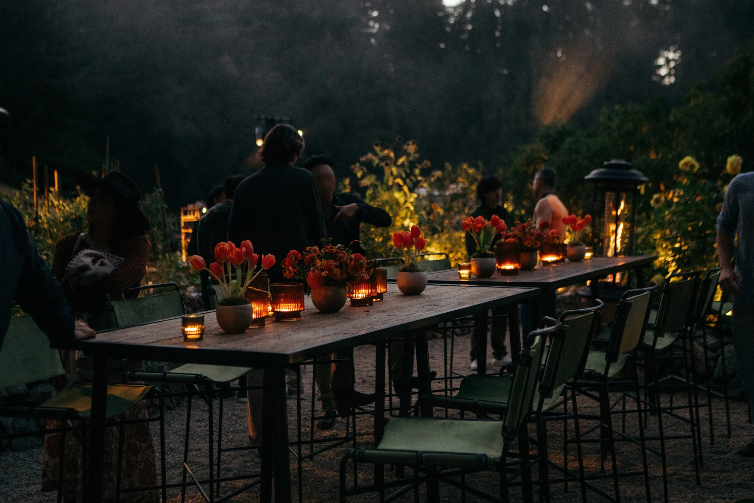 Greenoaks - BT24-15_edit.jpg