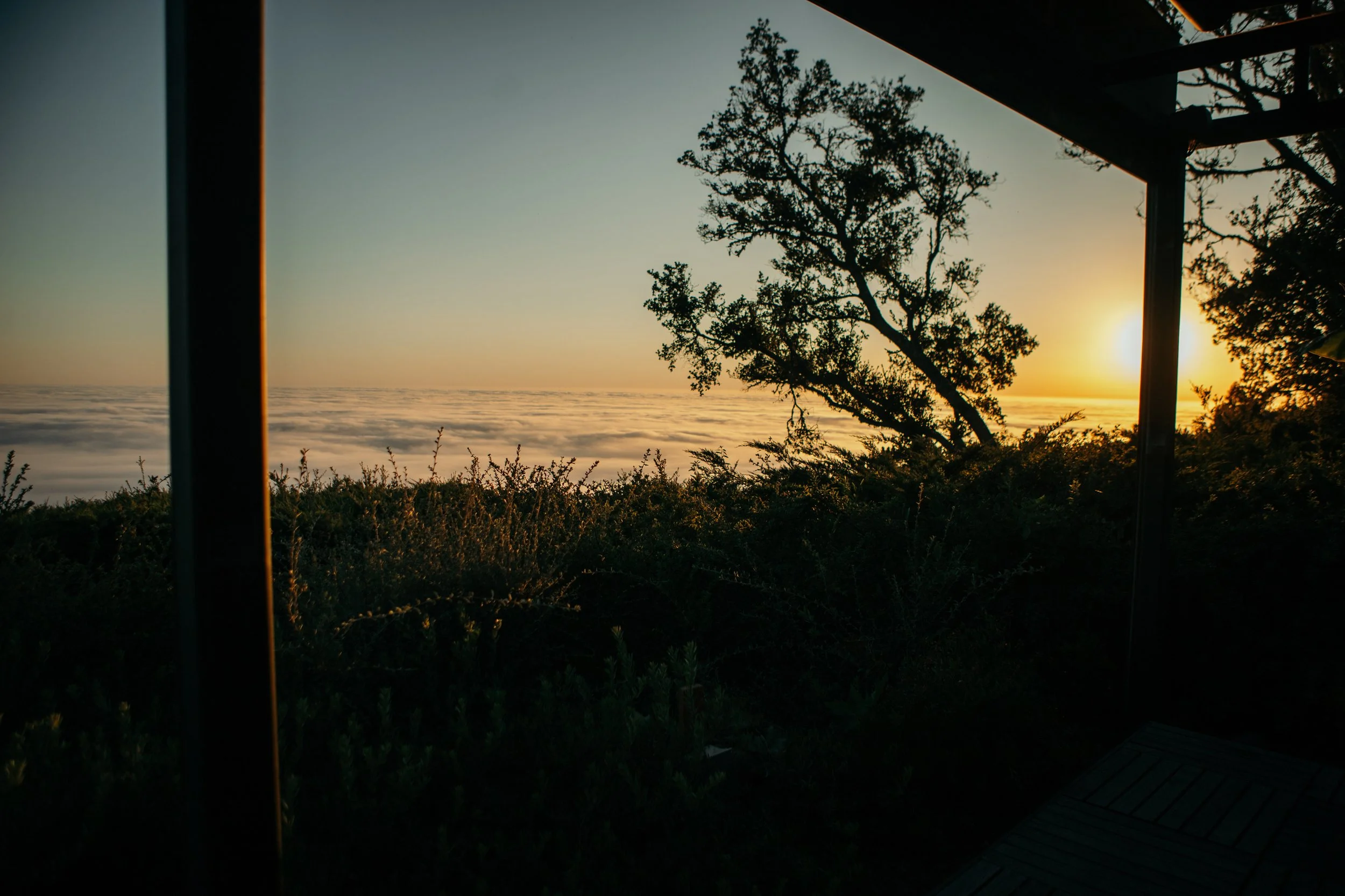 Greenoaks - BT24-61.jpg