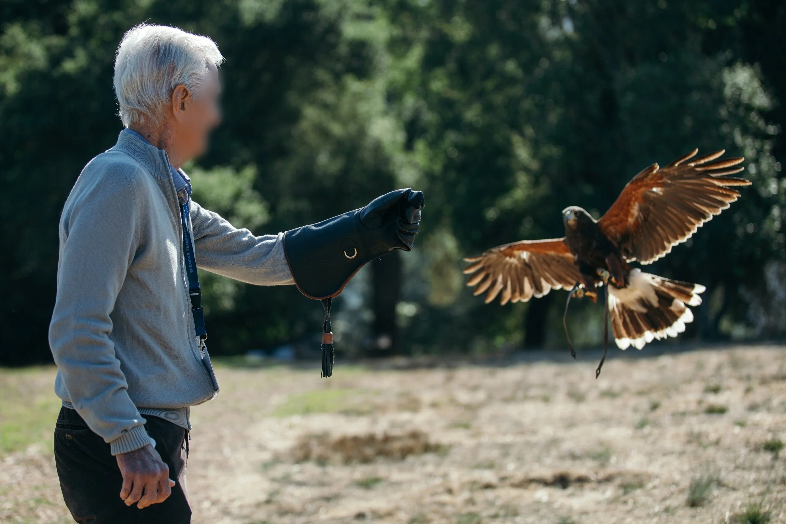 Greenoaks - BT24-12_edit.jpg