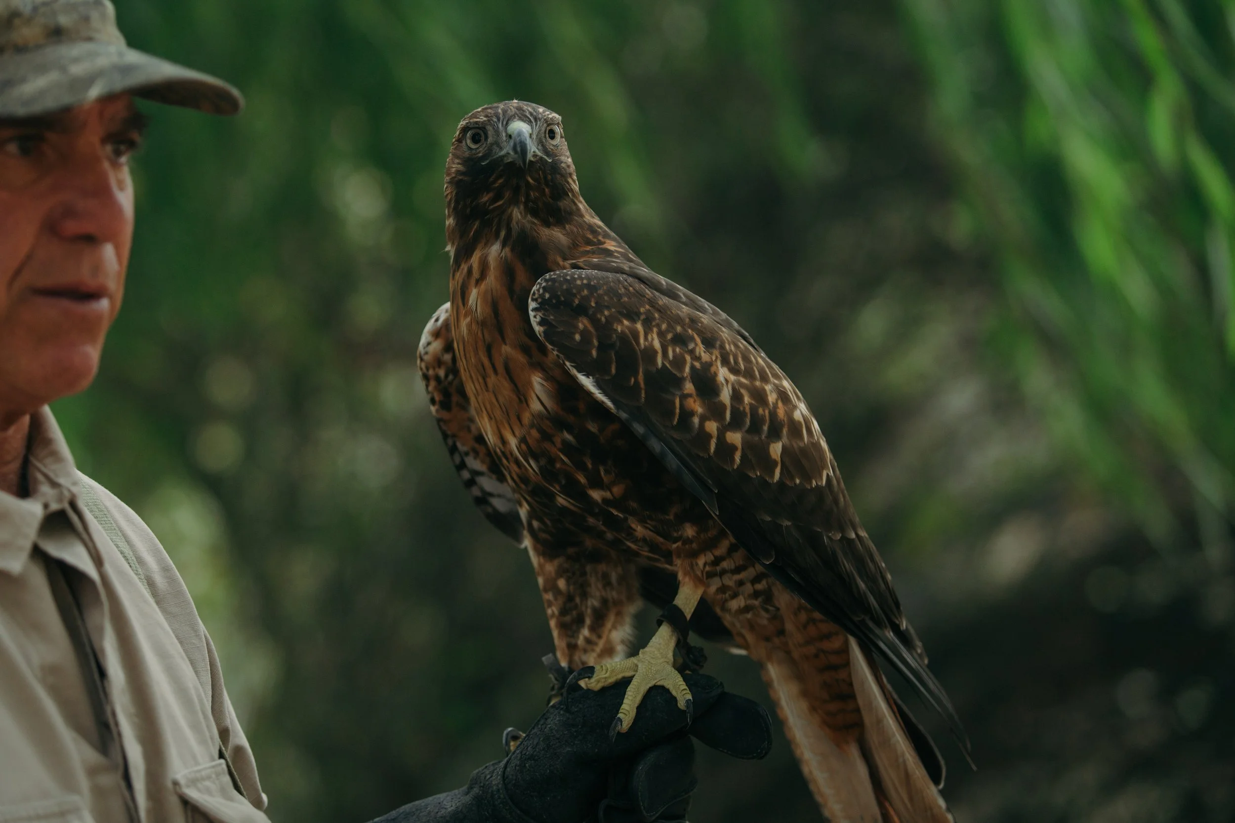 Greenoaks - BT24-13.jpg