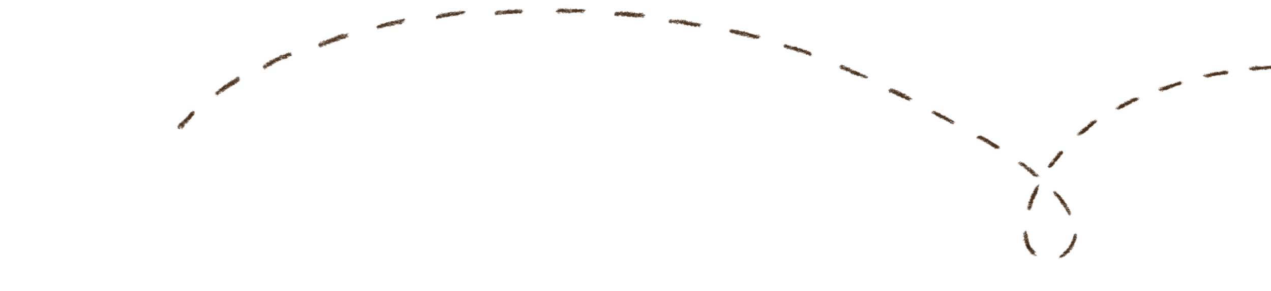 Swirling dashed line illustration