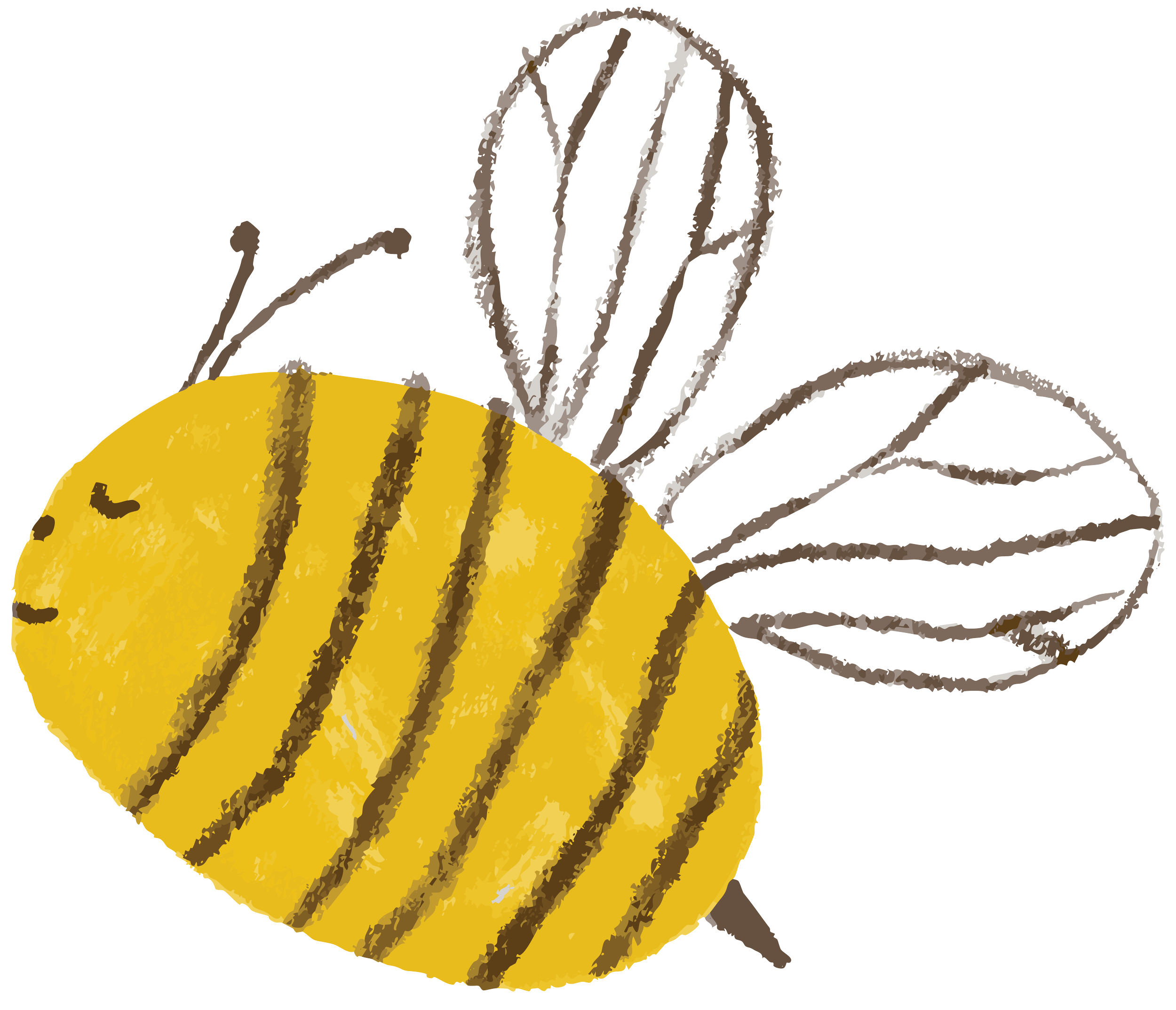 Bee Illustration3x.png