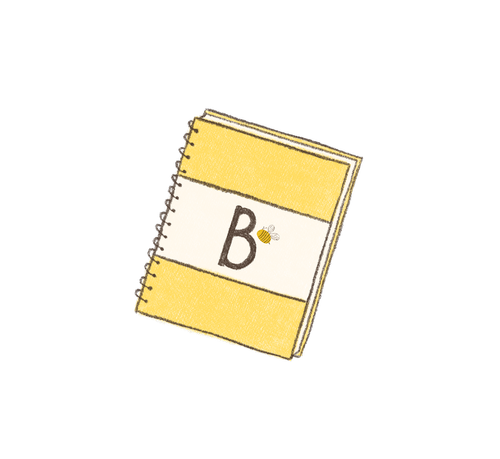 Miss B journal