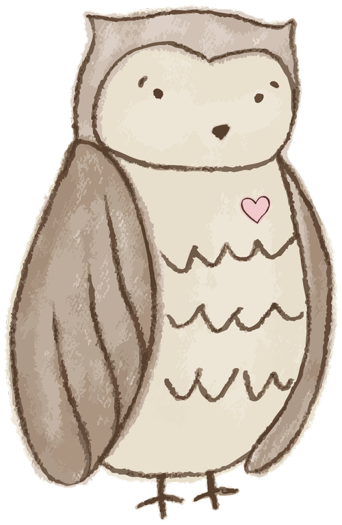 The Miss B’s owl, a hand drawn owl with a pink heart